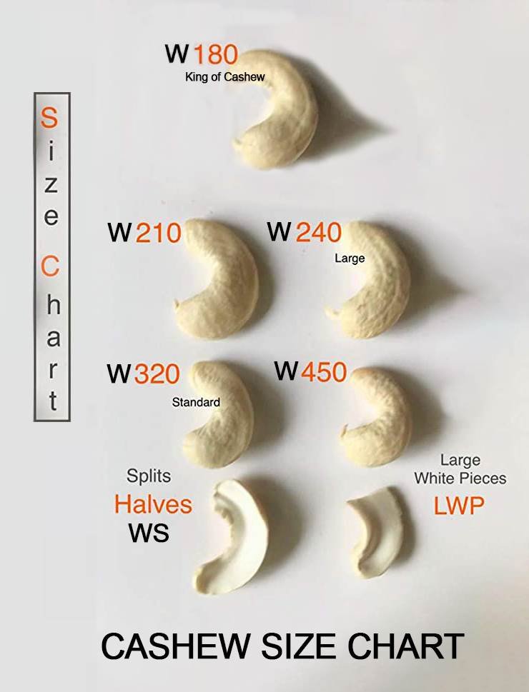 Cashew size & grade chart — whole grades down to choora